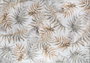 Conceptum Funk Chenille - White AL 126 Multicolor